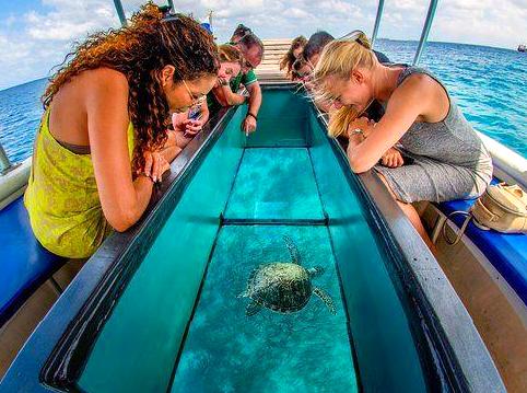 modernfashionideas | Join a Glass-bottom Boat Tour: View marine life without getting wet on a glass-bottom boat tour.