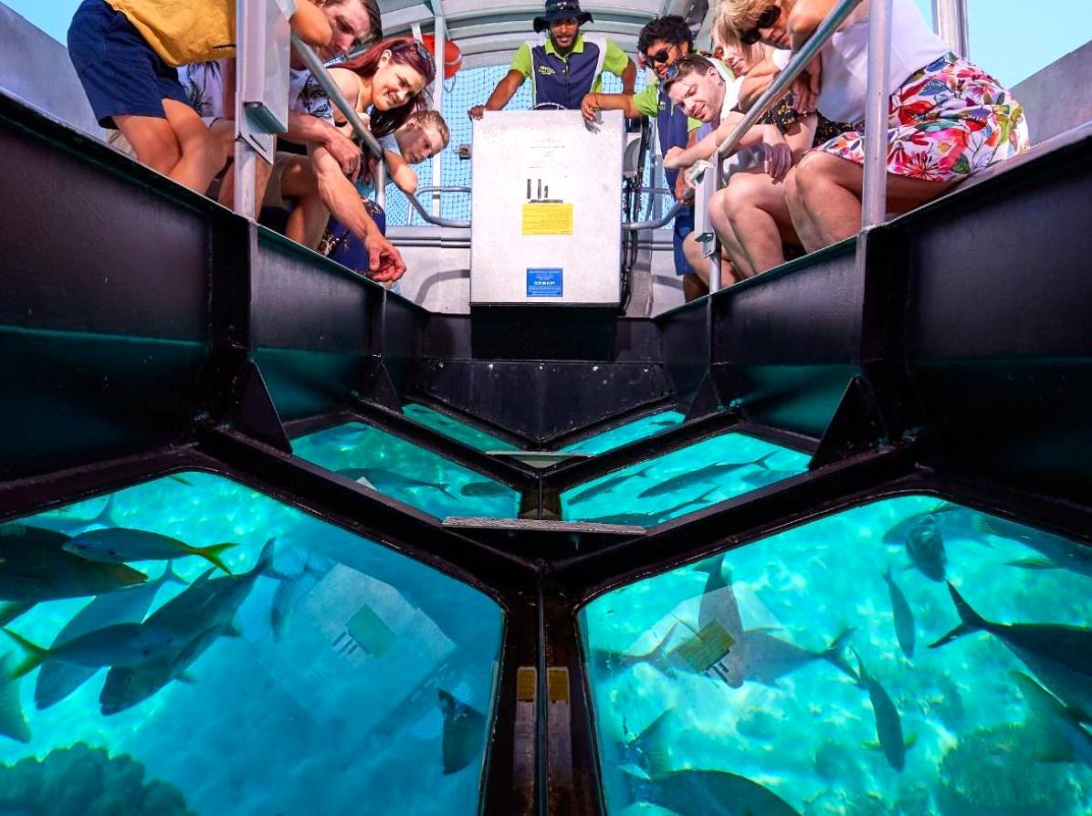 modernfashionideas | Join a Glass-bottom Boat Tour: View marine life without getting wet on a glass-bottom boat tour.