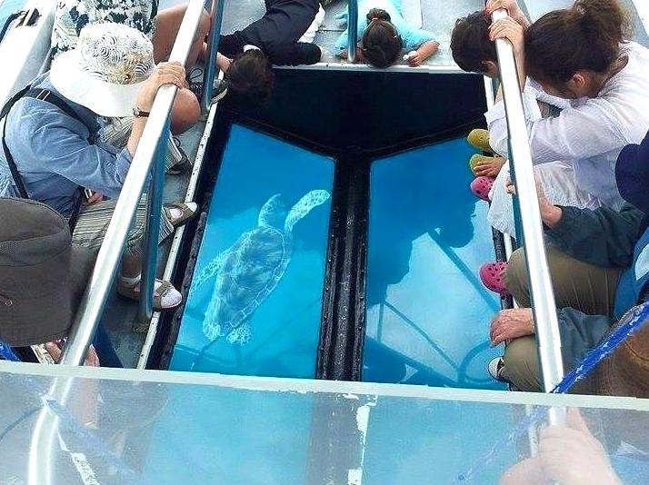 modernfashionideas | Join a Glass-bottom Boat Tour: View marine life without getting wet on a glass-bottom boat tour.