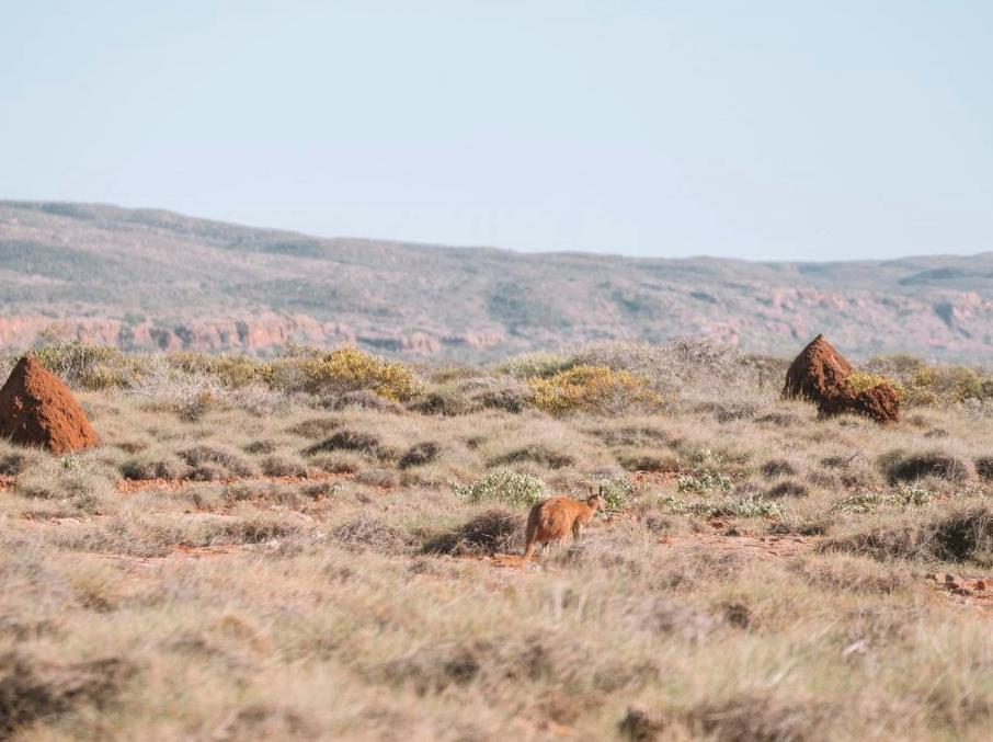 modernfashionideas | Camp Under the Stars at Cape Range National Park: Enjoy starry nights by camping in Cape Range National Park