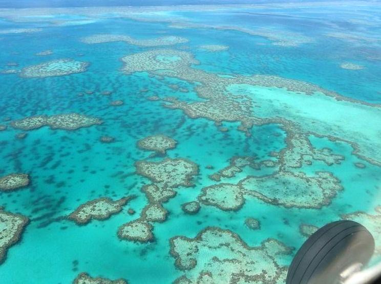 modernfashionideas | Take a Scenic Flight Over the Reef: Get a bird's-eye view of the reef on a scenic flight.