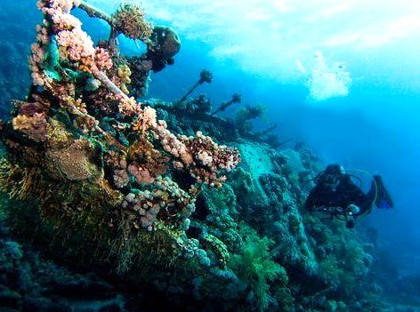 modernfashionideas | Scuba Dive at Navy Pier: Dive into the underwater world at Navy Pier.