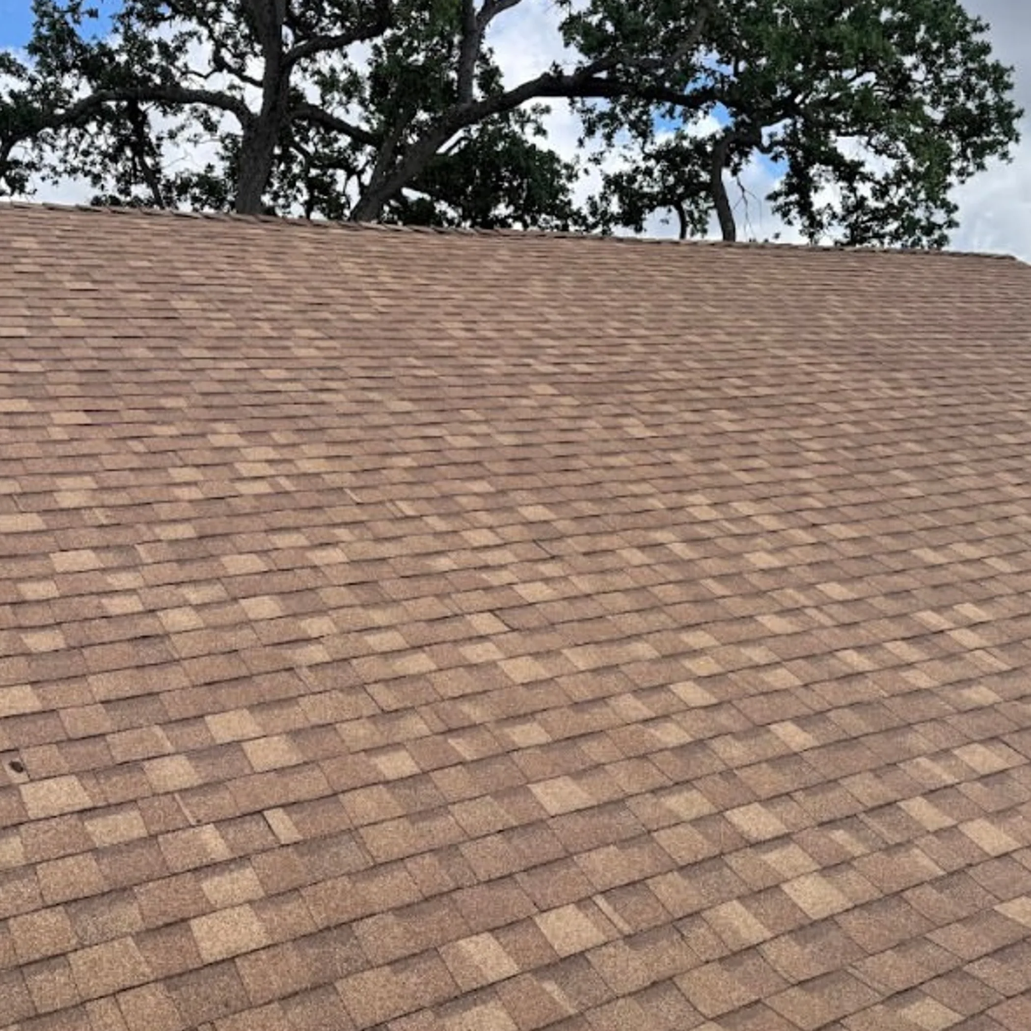 clear roof suitable for treatment methods
