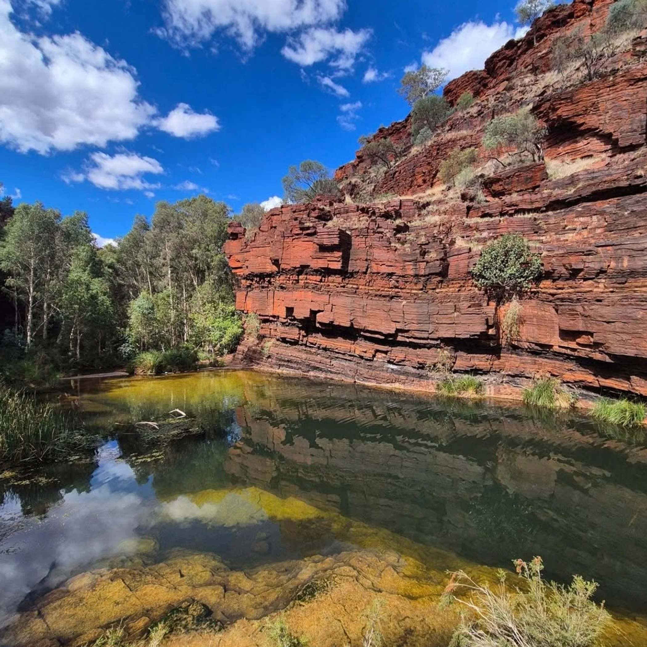 hiker using map in karijini gorges