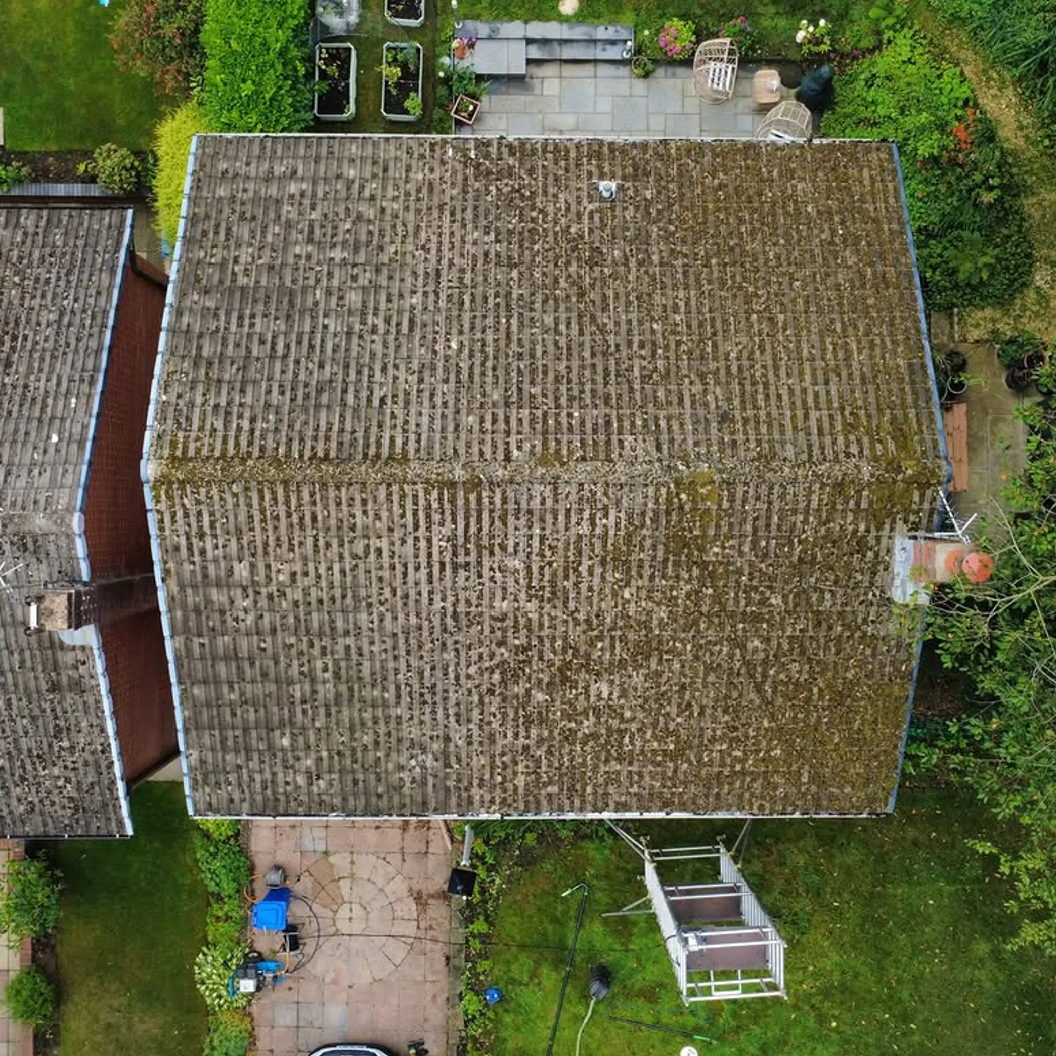 moss growing on roof tiles
