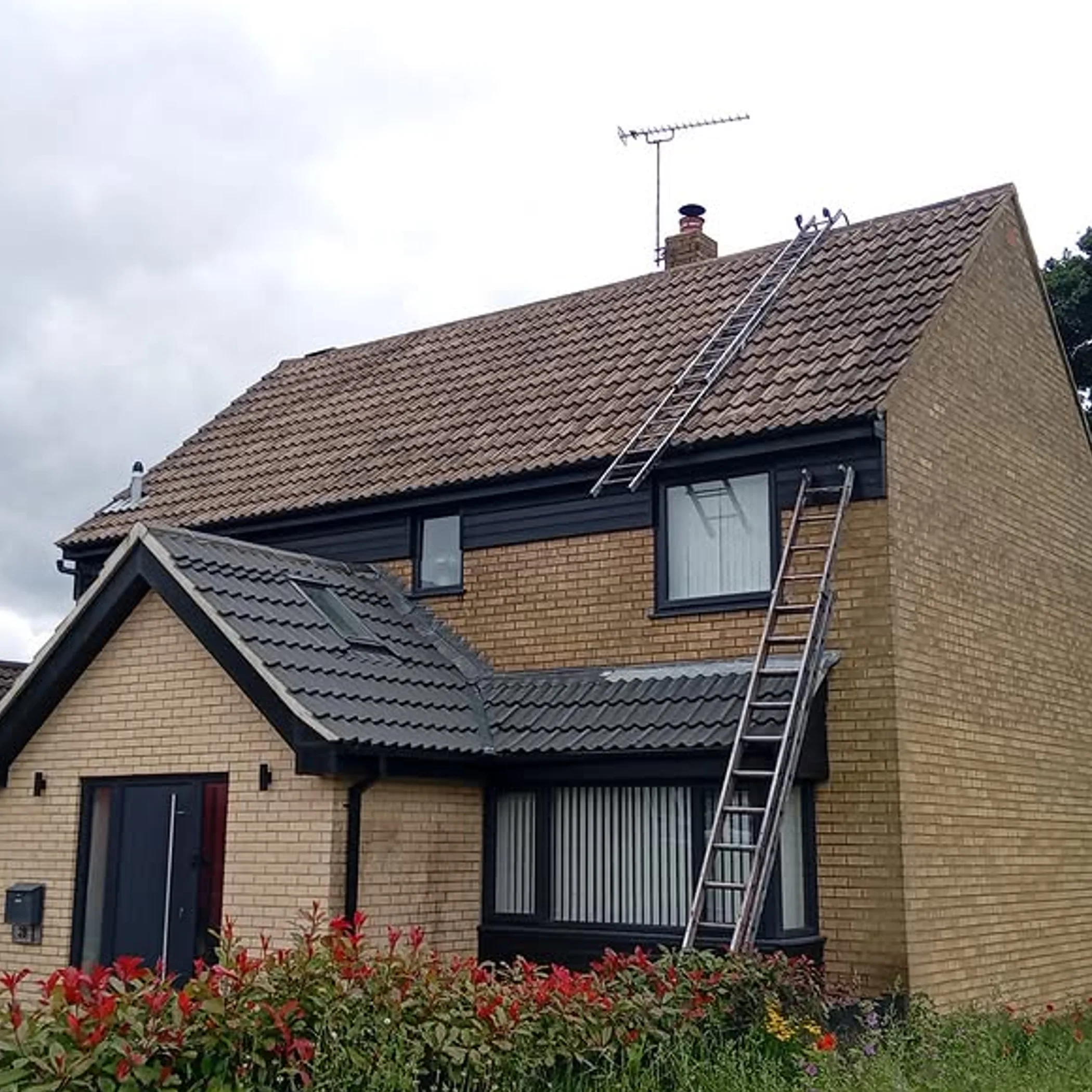 roof with ladders for treatment