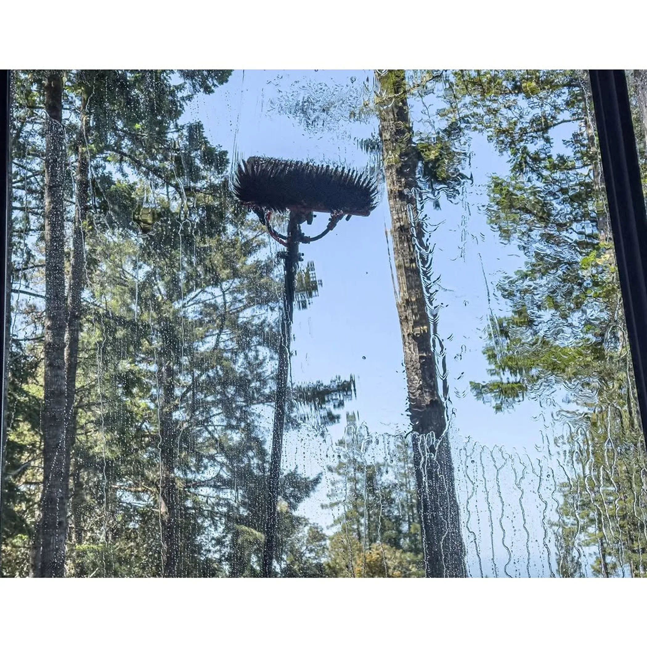 waterfed pole cleaning windows