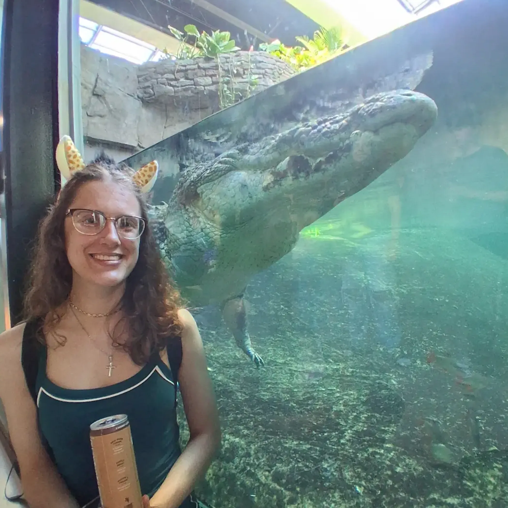 clear sharp crocodile photo
